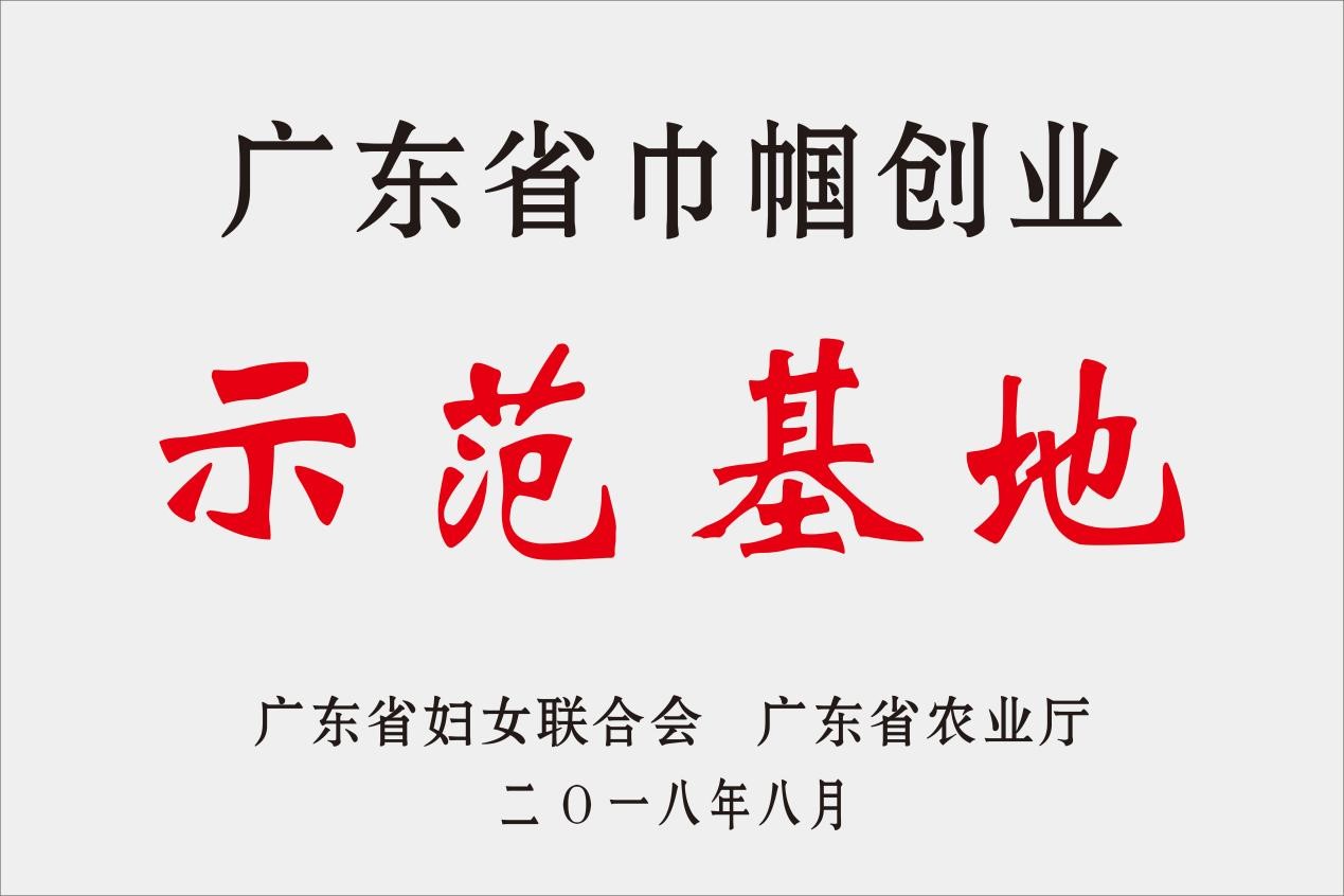 广东省巾帼创业示范基地2018年 